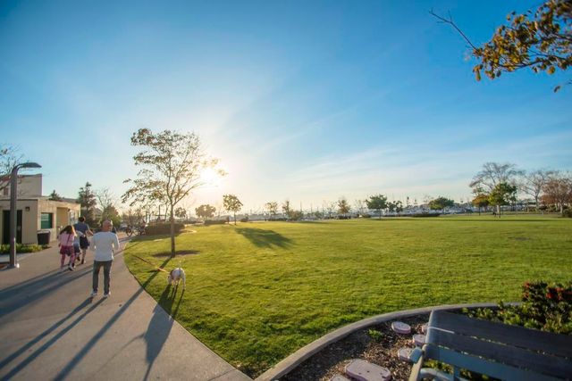 Featured photo from Ruocco Park