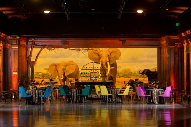 Featured photo from African Mammal Hall