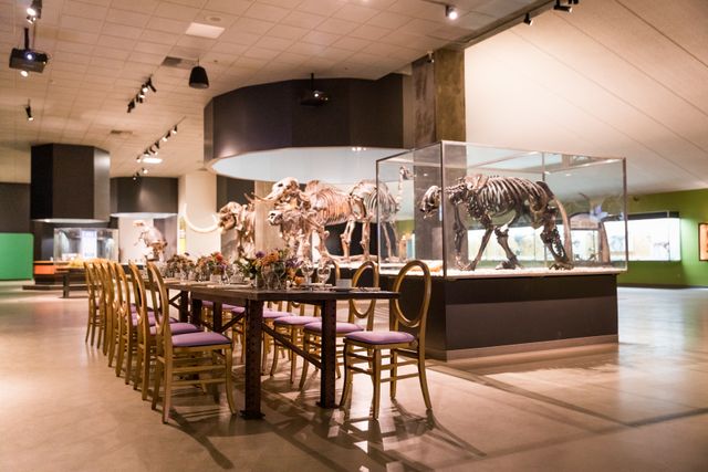 Featured photo from Museum at La Brea Tar Pits