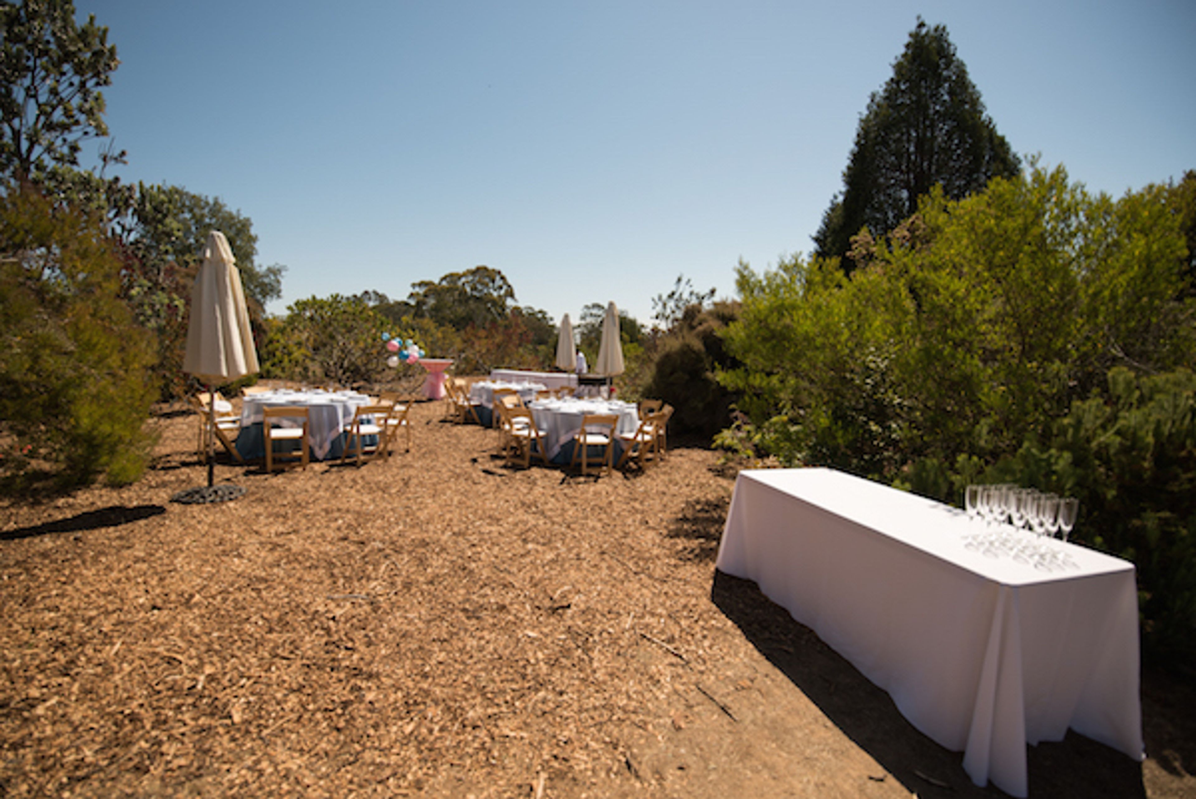 Arboretum, an event space at The UCSC Arboretum
