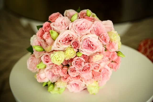 Featured photo from Shannon & Charles