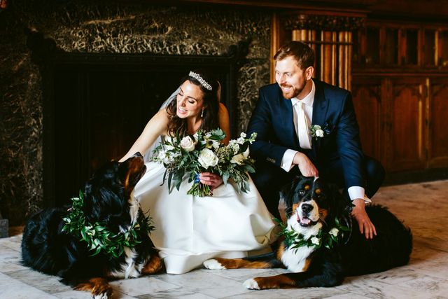 Featured photo from Jim & Caitlin Pet-Friendly Wedding at Chicago Athletic Association Hotel