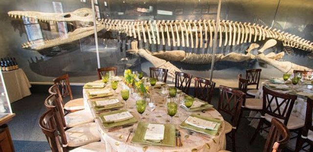 Featured photo from Harvard Museum