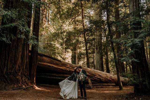 Featured photo from Big Sur California Elopement