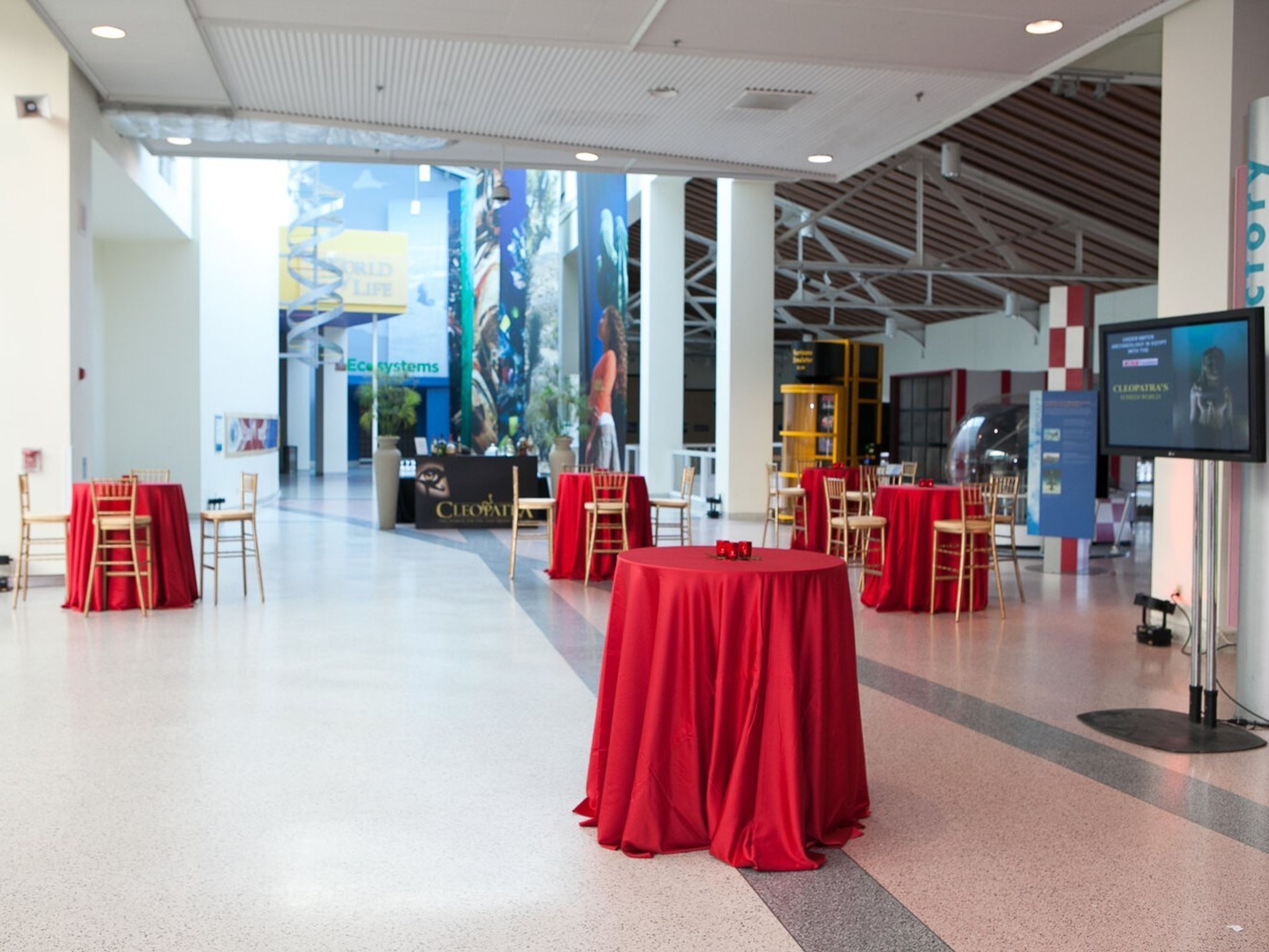 Disney Science Court, an event space at California Science Center