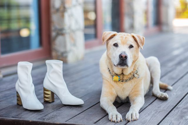 Featured photo from Jamie & Ryan's Mexico Wedding