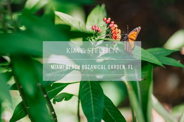 Featured photo from Tropical wedding at the Miami Beach Botanical Garden
