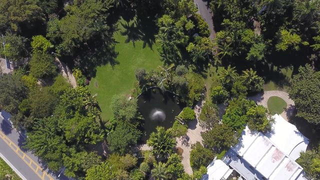 Featured photo from Entire Garden