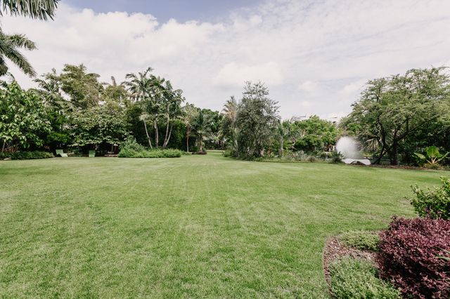 Featured photo from Great Lawn