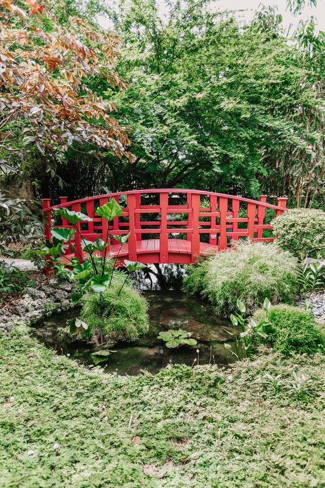Featured photo from Japanese Garden