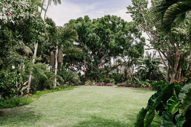 Featured photo from Banyan Lawn