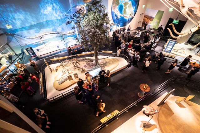 Featured photo from Level 4