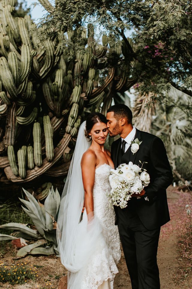 Featured photo from San Diego Botanic Garden