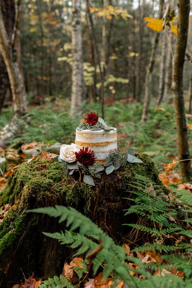 Featured photo from Gap Mountain Elopement