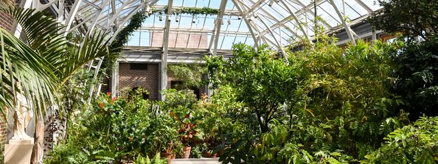 Featured photo from Orangerie Conservatory