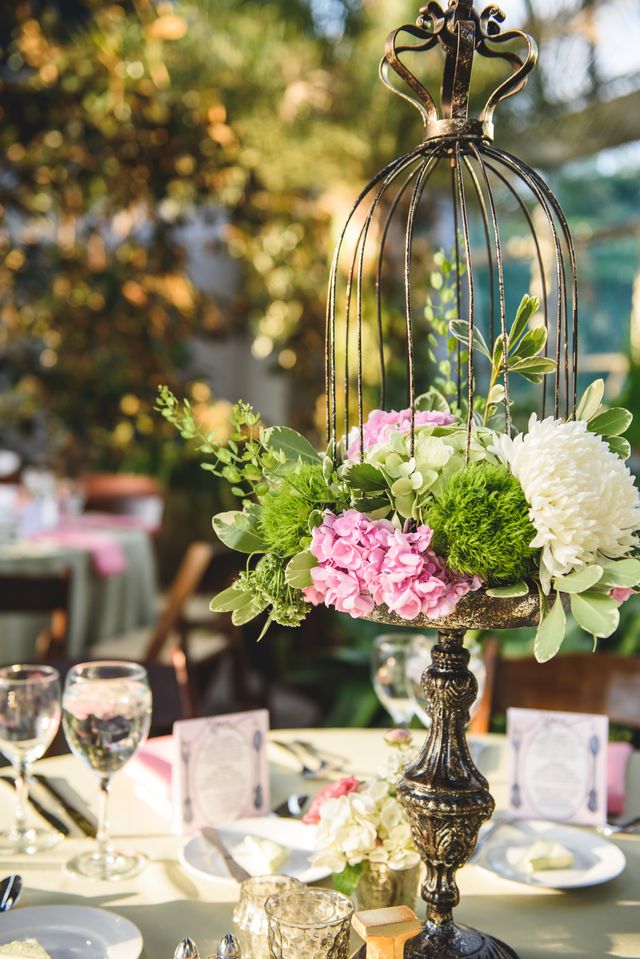 Featured photo from E + D: Garfield Park Conservatory