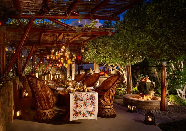 Featured photo from The Herb Garden