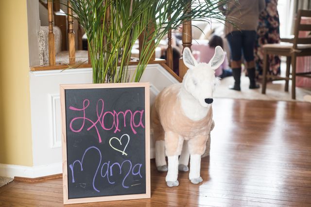 Featured photo from Creative and Darling Mama Llama Themed Baby Shower