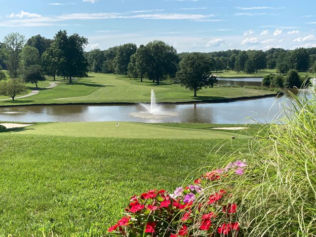 Featured photo from Veranda