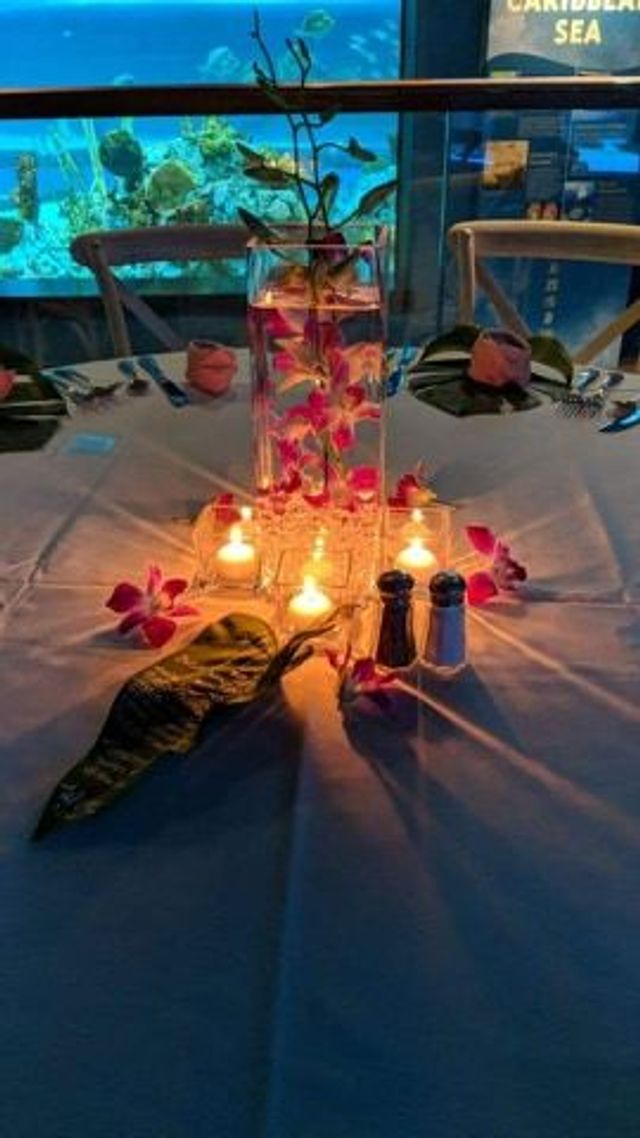 Featured photo from Polynesian Beach - July 2019