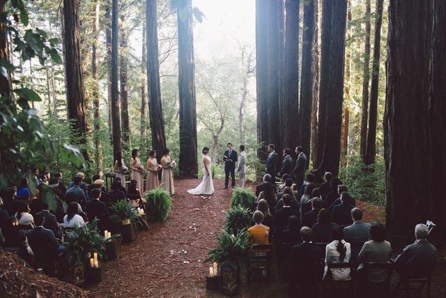 Featured photo from Opulent Outdoor Wedding at Sequoia Retreat Center in Ben Lomond, California