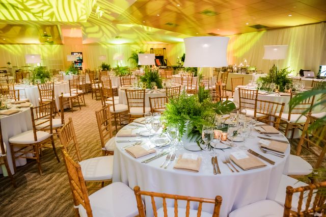 Featured photo from Zac's Jazz Club