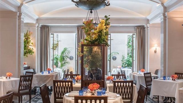 Featured photo from Majorelle