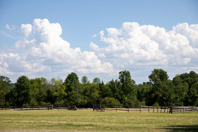 Featured photo from Field A