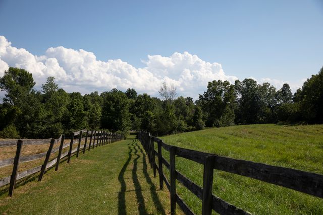 Featured photo from Fields D & E