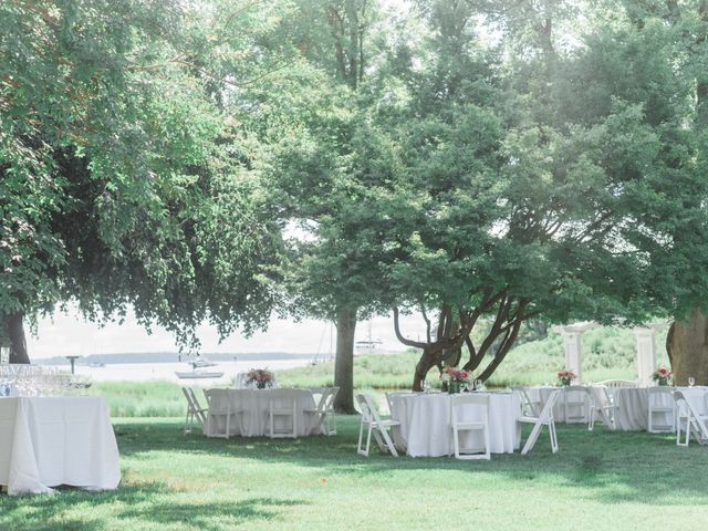 Featured photo from The Wetlands