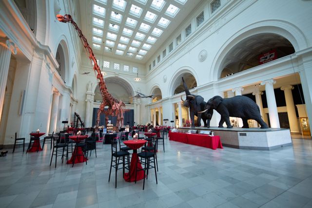 Featured photo from Intimate Corporate Reception at the Field Museum in Chicago, IL