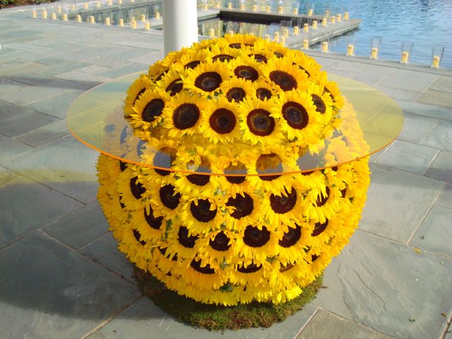 Featured photo from The Hamptons - Pantone's 2021 Color Pick