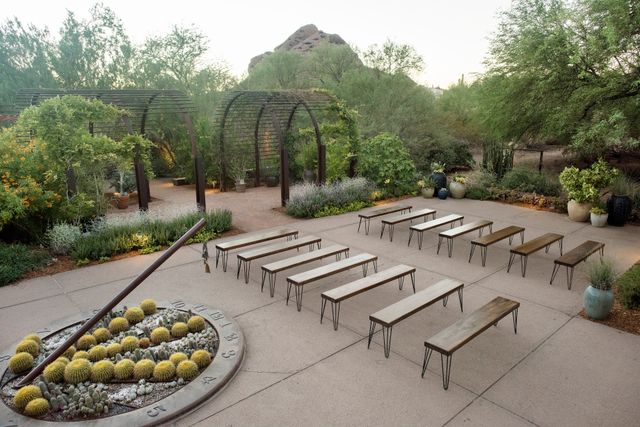 Featured photo from Steele Herb Garden