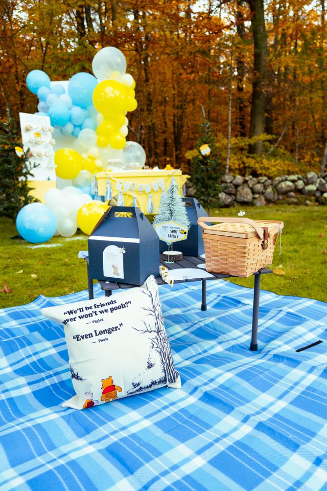 Featured photo from Winne the Pooh Winter Picnic