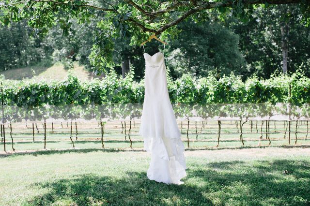 Featured photo from Winery Wedding