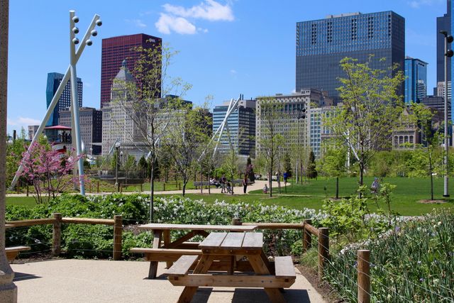 Featured photo from Picnic Groves