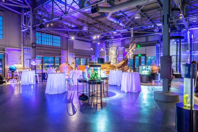 Featured photo from East Gallery