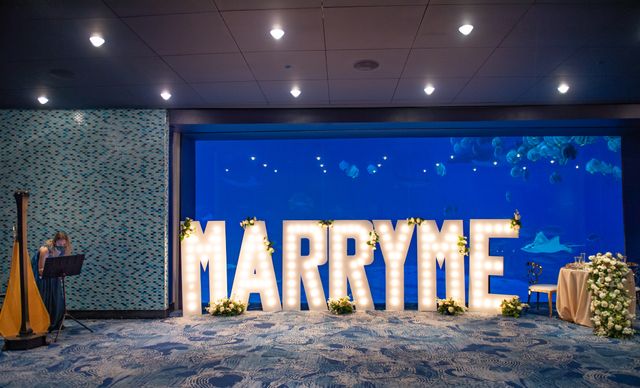 Featured photo from Breathtaking Proposal at The Georgia Aquarium in Atlanta, Georgia