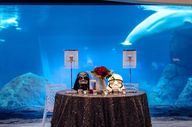 Featured photo from Star Wars Themed Wedding at Georgia Aquarium in Atlanta, GA