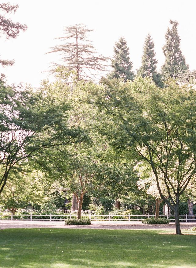 Featured photo from Citrus Garden Wedding at Beaulieu Gardens