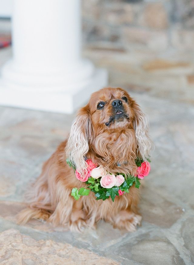 Featured photo from Intimate Garden Party Wedding