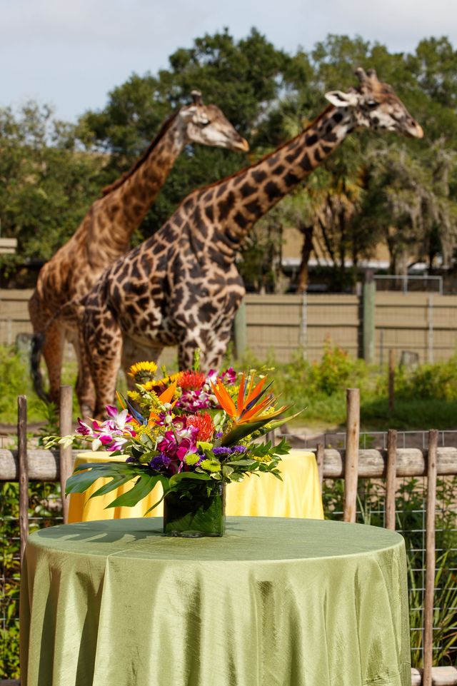 Featured photo from Reilly's Reserve