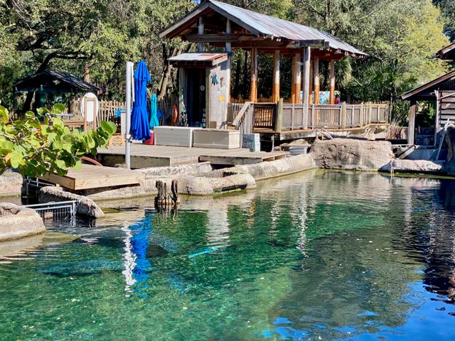 Featured photo from Manatee Overlook