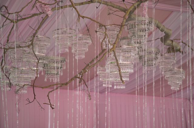 Featured photo from Glamorous Pretty and Pink Garden Wedding in Los Angeles, CA