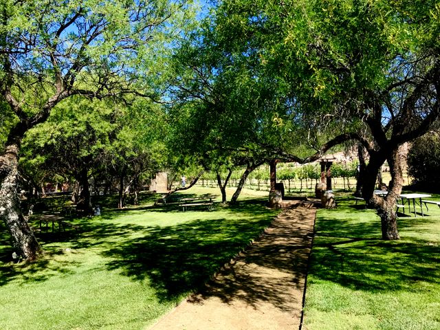 Featured photo from Historic Mesquite Park