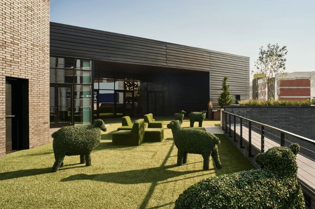 Featured photo from The Lawn