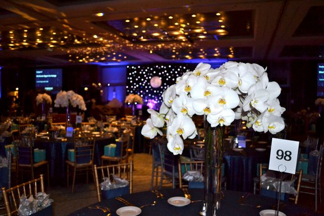 Featured photo from Moonlight Masquerade