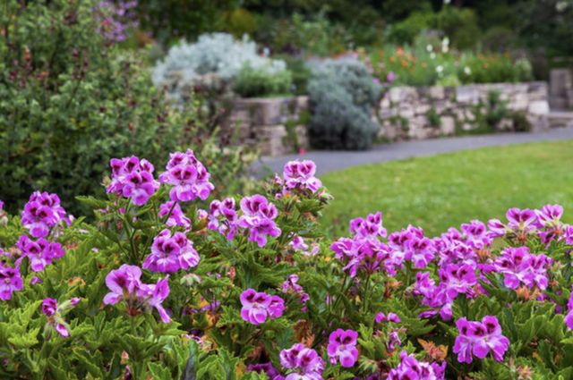 Featured photo from Garden of Fragrance