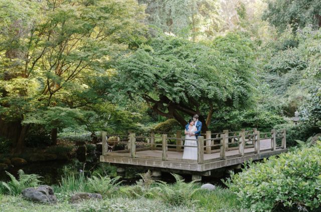 Featured photo from Moon Viewing Garden