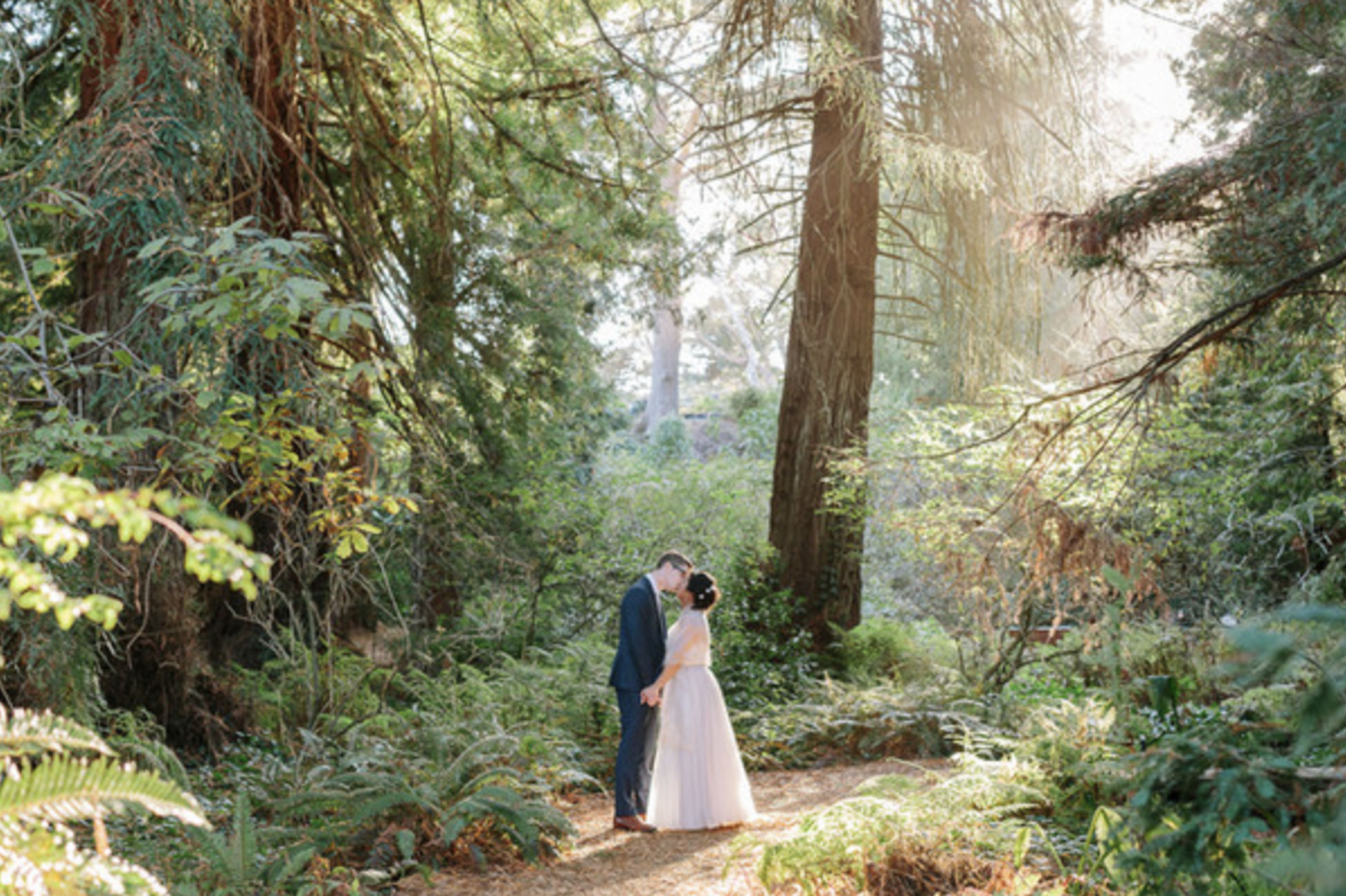 Redwood Grove, an event space at San Francisco Botanical Garden